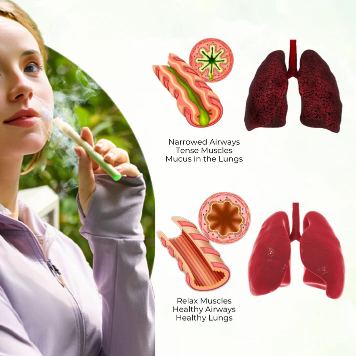🔥Slimoly™ Mullein Aroma Diffuser – Relief for Cough, Congestion & Breathing Comfort💝