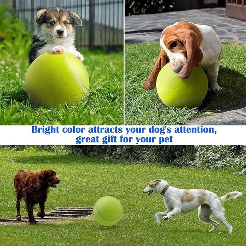 Pawzioo™Tennis Ball Design Dog Toy, Pet Interactive Tennis Ball Toy, Pet Training Ball Toy, Outside Pet Interactive Ball Toy for Dogs & Cats, Outdoor Toy