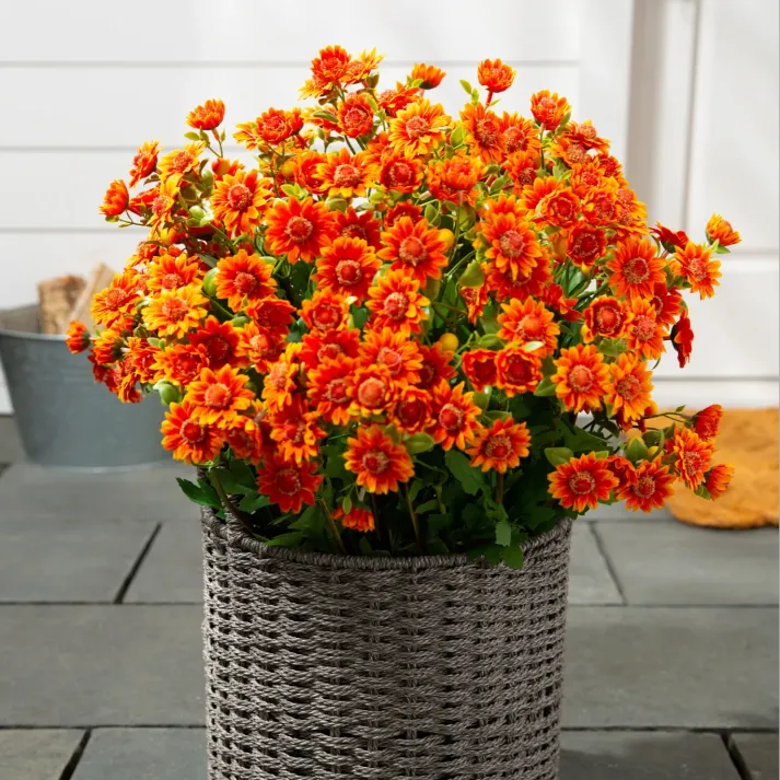 đ„Last Day Each- Artificial Outdoor Sunset Mums Flowers - Waterproof, Windproof