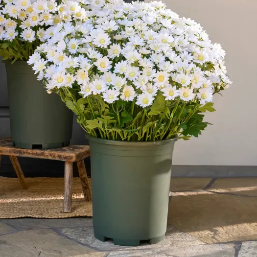 đ„Last Day Each- Artificial Outdoor Sunset Mums Flowers - Waterproof, Windproof
