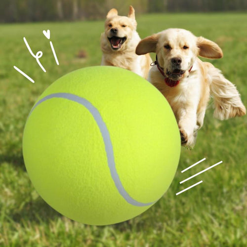 Pawzioo™Tennis Ball Design Dog Toy, Pet Interactive Tennis Ball Toy, Pet Training Ball Toy, Outside Pet Interactive Ball Toy for Dogs & Cats, Outdoor Toy