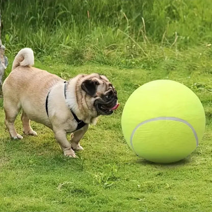 Pawzioo™Tennis Ball Design Dog Toy, Pet Interactive Tennis Ball Toy, Pet Training Ball Toy, Outside Pet Interactive Ball Toy for Dogs & Cats, Outdoor Toy